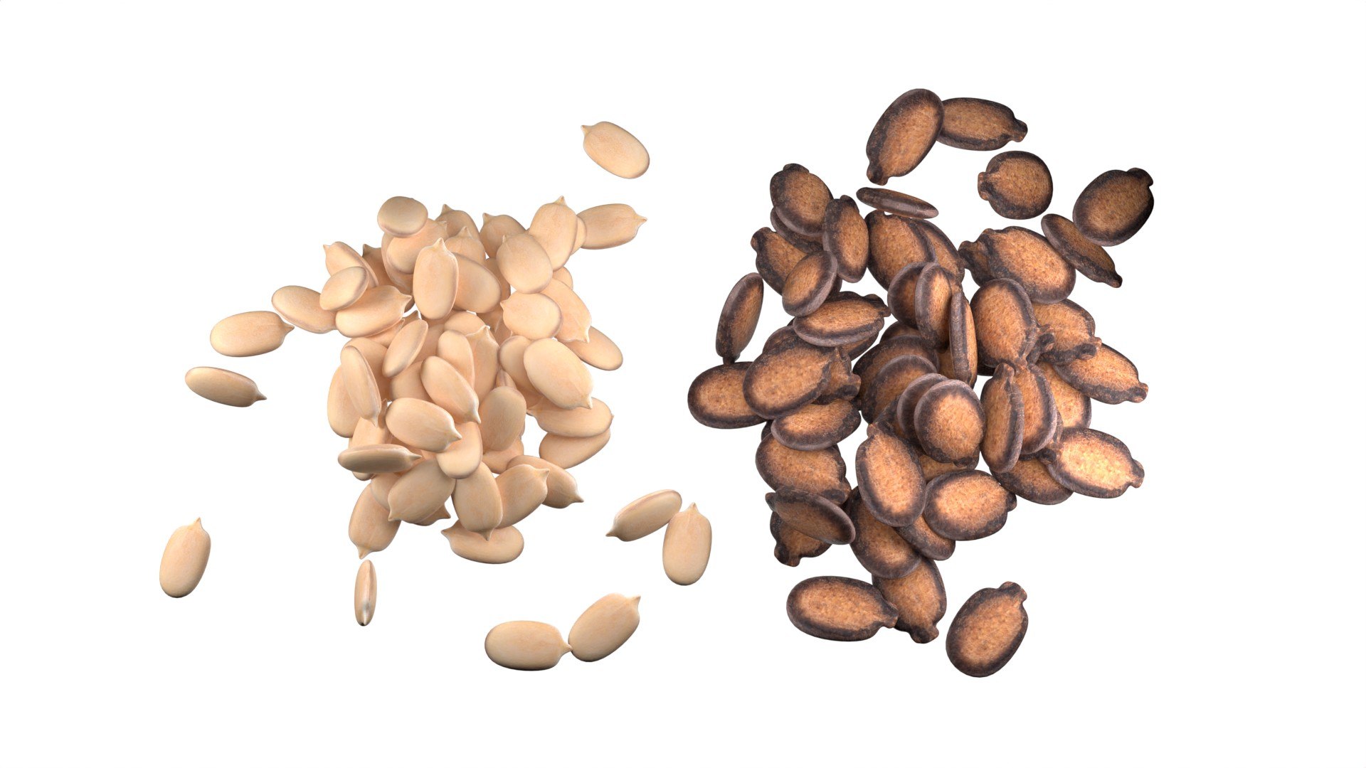 Watermelon Seed Pile 3D https://p.turbosquid.com/ts-thumb/Pi/RtNrlj/64/6/jpg/1745405219/1920x1080/fit_q87/a119f7a3731b23a7cbb9c377ee30510cd5fad686/6.jpg