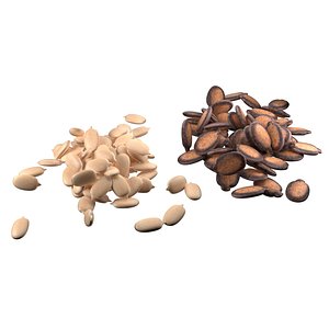 Watermelon Seed Pile 3D