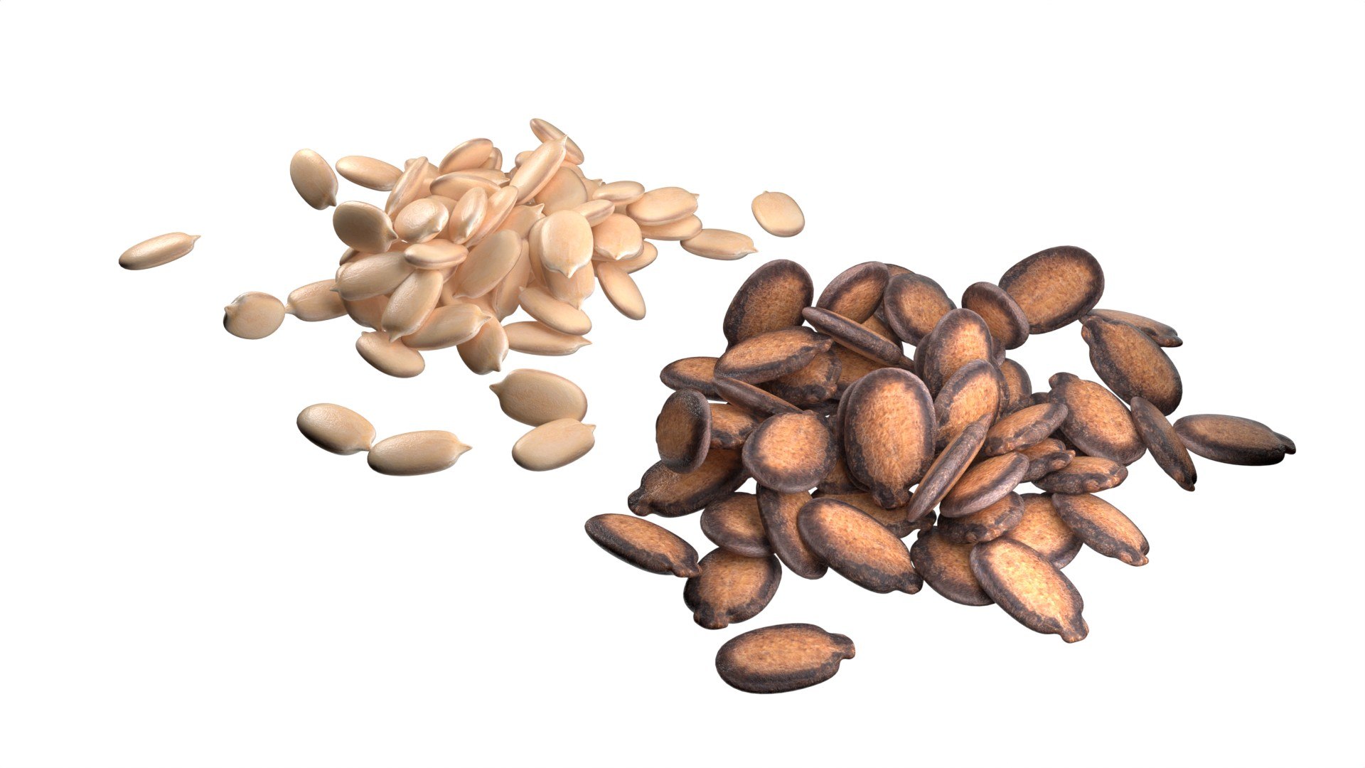 Watermelon Seed Pile 3D https://p.turbosquid.com/ts-thumb/Pi/RtNrlj/f4/2/jpg/1745405216/1920x1080/fit_q87/4cacd390f050941b55cd25b1a270734e9a2fb42d/2.jpg