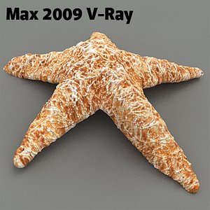 3d starfish star fish