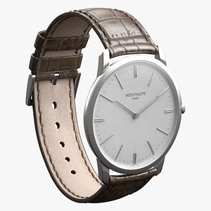 Luxury Watch Silver Brown Closed