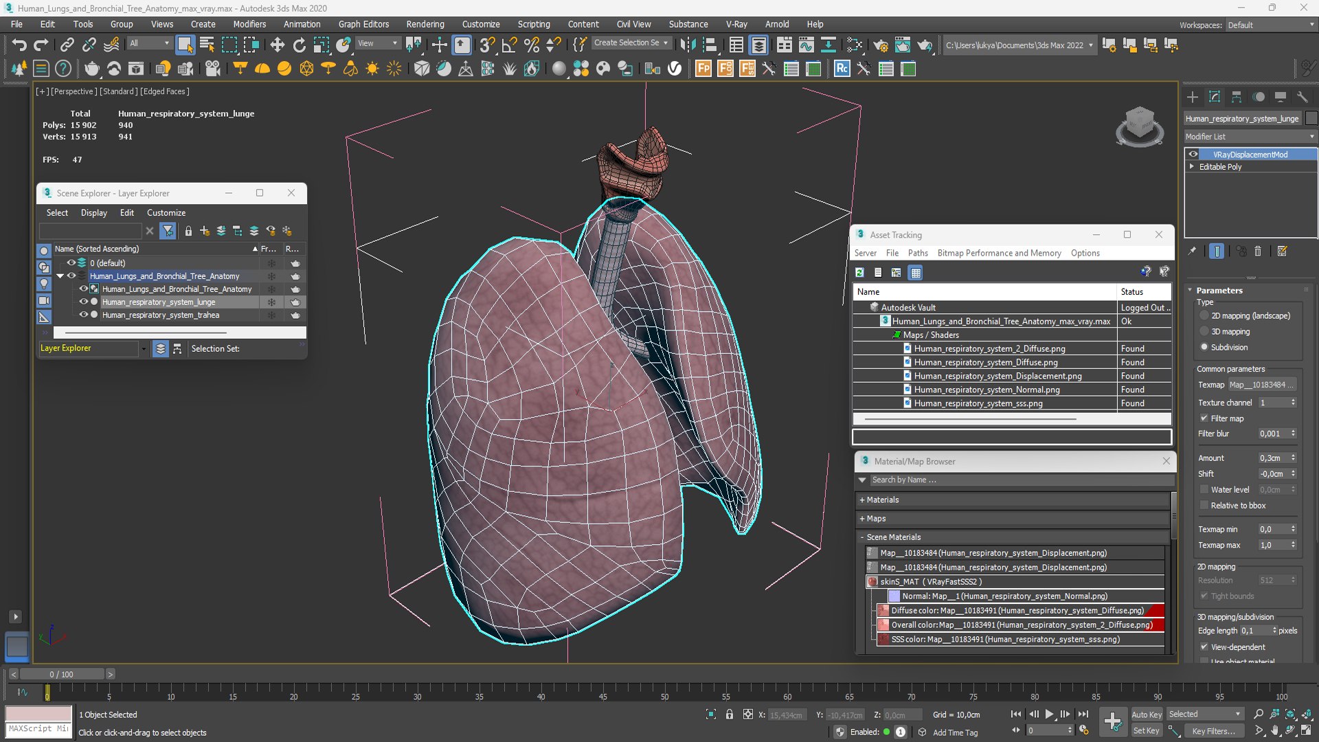 3D Human Lungs And Bronchial Tree Anatomy Model - TurboSquid 2386890