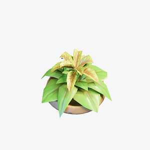 Stylized House Plant 32 3D model