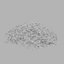 Seed Mix