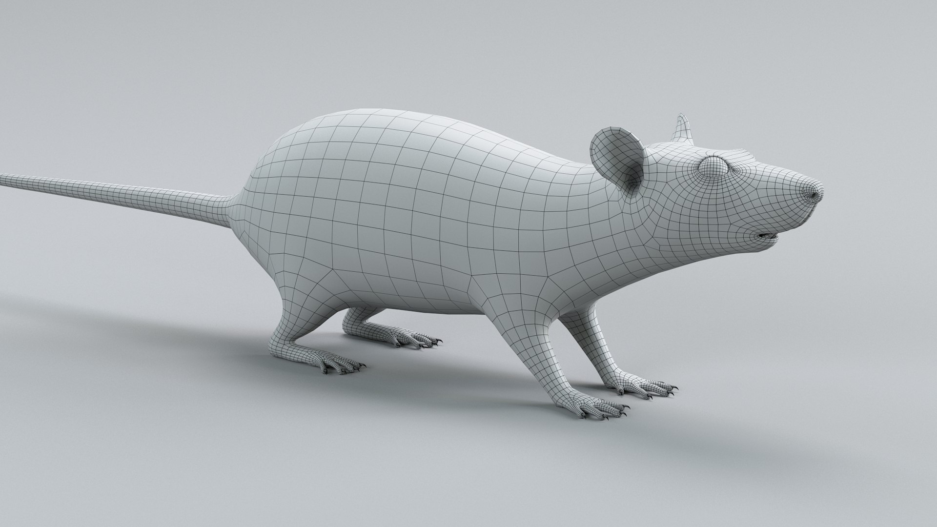 Decorative Rat Static Xgen 3D model https://p.turbosquid.com/ts-thumb/Pj/BVI3Ur/NT/decorative_rat_static_20/jpg/1741680812/1920x1080/fit_q87/eccb023bd346c2fcdb2246dc45bb9f6ec60a4eab/decorative_rat_static_20.jpg