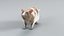 Decorative Rat Static Xgen