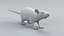 Decorative Rat Static Xgen
