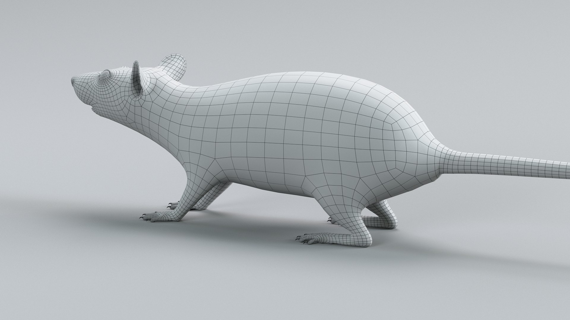 Decorative Rat Static Xgen 3D model https://p.turbosquid.com/ts-thumb/Pj/BVI3Ur/rm/decorative_rat_static_25/jpg/1741680819/1920x1080/fit_q87/fb238fd36adf8a6644b865050a1e8216fa925692/decorative_rat_static_25.jpg