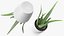 Houseplants Collection 4