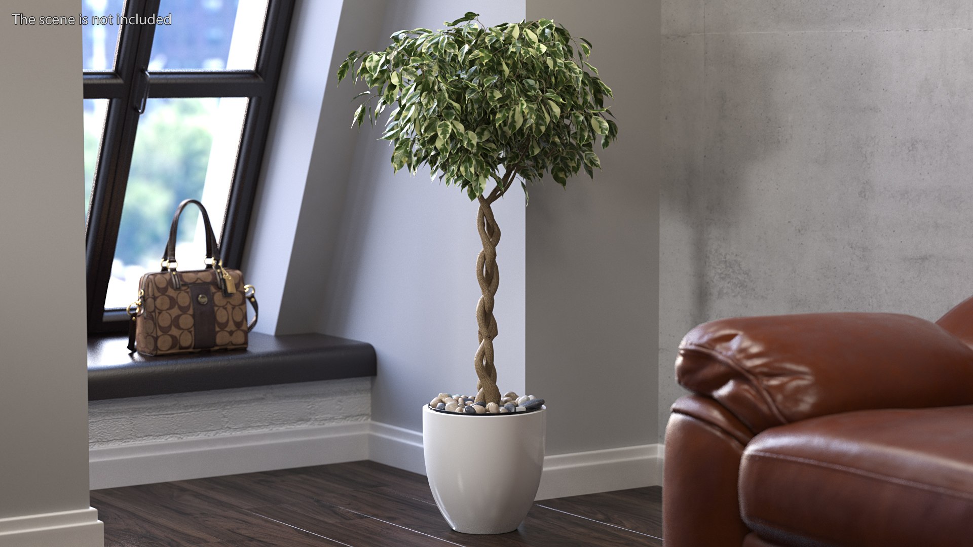 Houseplants Collection 4 3D model https://p.turbosquid.com/ts-thumb/Pj/FSH6b2/7s/houseplantscollection43dsmodel017/jpg/1639675197/1920x1080/fit_q87/dedbcdb37f231545206f91bf1b1b12993aef3b34/houseplantscollection43dsmodel017.jpg