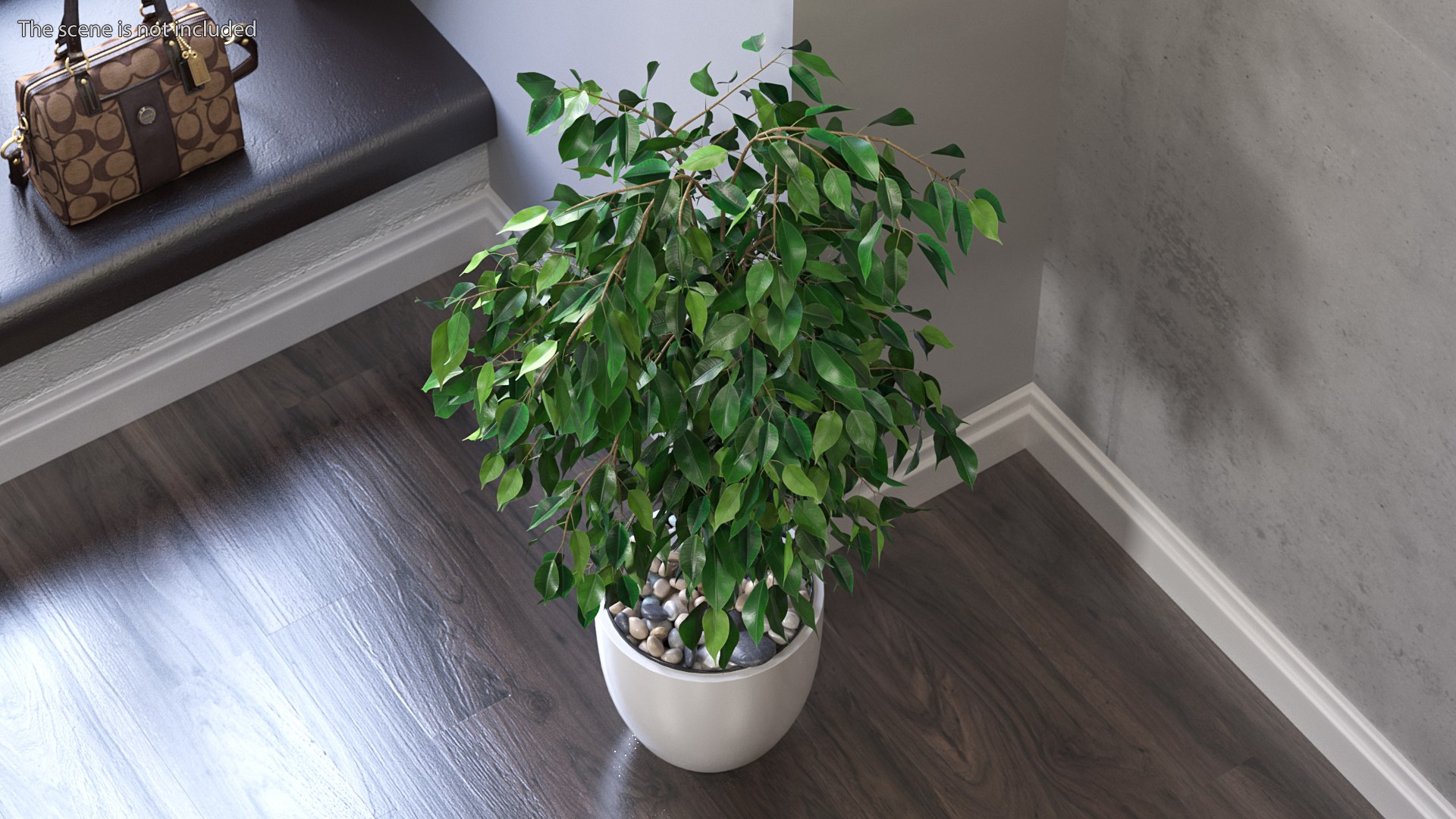 Houseplants Collection 4 3D model https://p.turbosquid.com/ts-thumb/Pj/FSH6b2/8D/houseplantscollection43dsmodel033/jpg/1639675249/1920x1080/fit_q87/3072b5a2de0a511a1ba1001781648ea8518f3cc3/houseplantscollection43dsmodel033.jpg
