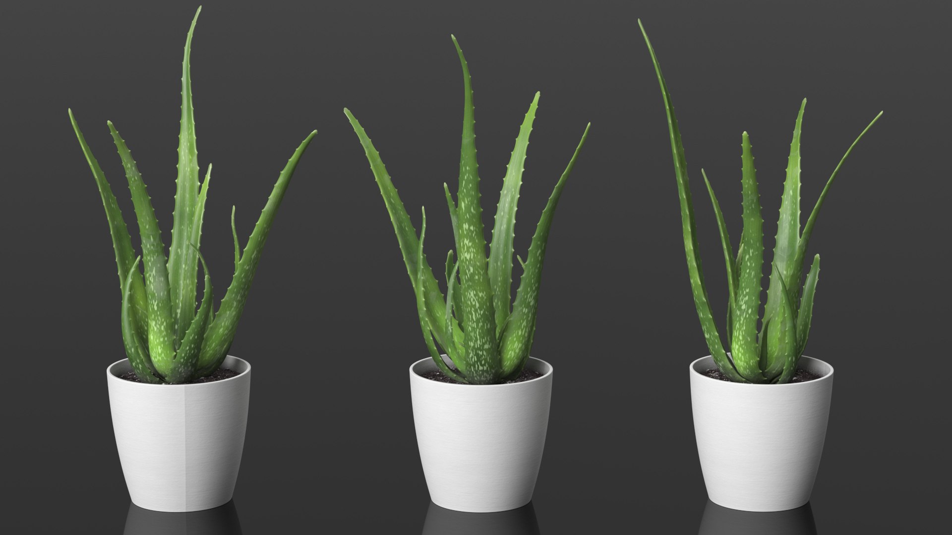 Houseplants Collection 4 3D model https://p.turbosquid.com/ts-thumb/Pj/FSH6b2/8U/houseplantscollection43dsmodel007/jpg/1639675167/1920x1080/fit_q87/58546c4b7421ef90fcecfb775857ea5bca14f5fb/houseplantscollection43dsmodel007.jpg