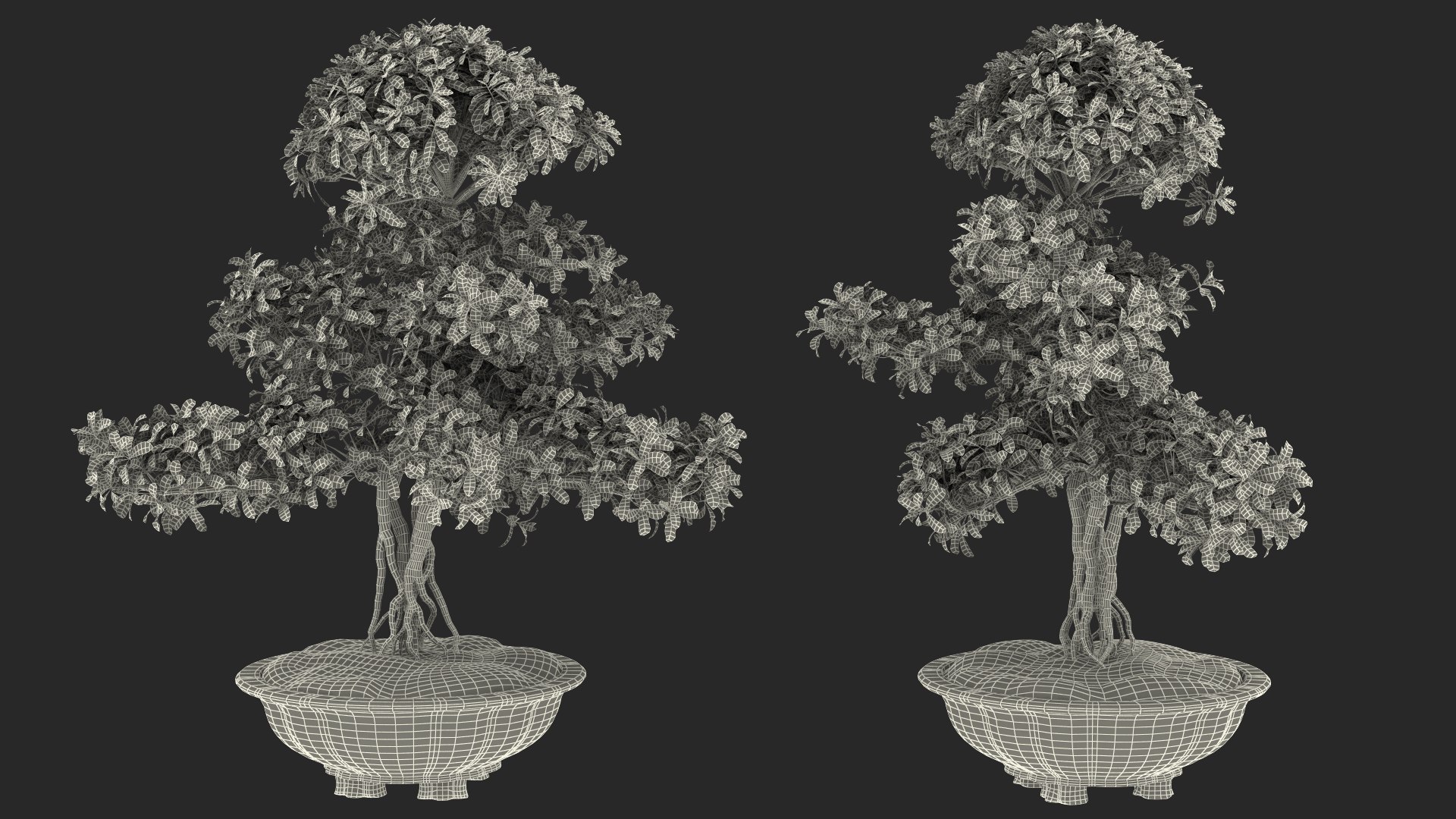 Houseplants Collection 4 3D model https://p.turbosquid.com/ts-thumb/Pj/FSH6b2/9B/houseplantscollection43dsmodel097/jpg/1639675441/1920x1080/fit_q87/d5352772b69397484f22b8379e03fbe74b94bfd4/houseplantscollection43dsmodel097.jpg
