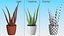 Houseplants Collection 4