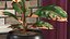 Houseplants Collection 4