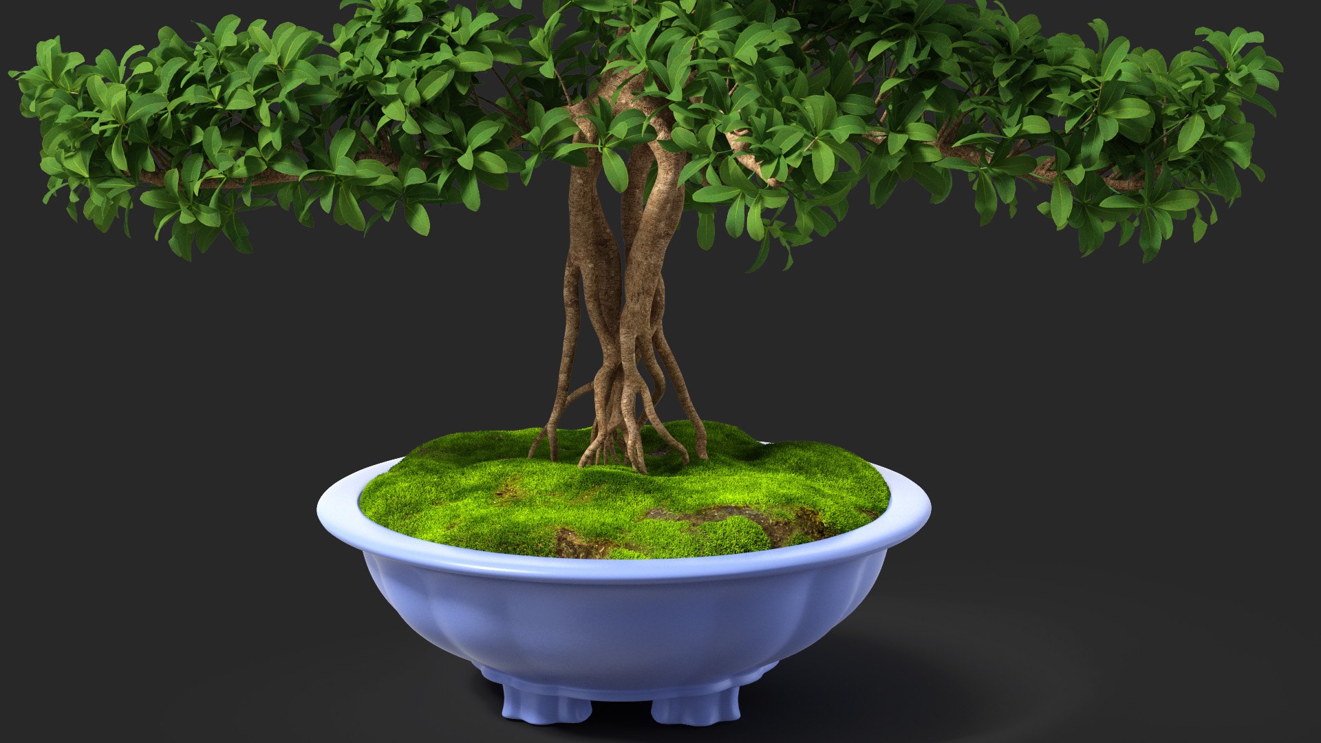 Houseplants Collection 4 3D model https://p.turbosquid.com/ts-thumb/Pj/FSH6b2/Co/houseplantscollection43dsmodel050/jpg/1639675300/1920x1080/fit_q87/65f62a6817907ef33318194a9d4e6ca2be6c854b/houseplantscollection43dsmodel050.jpg