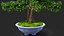 Houseplants Collection 4