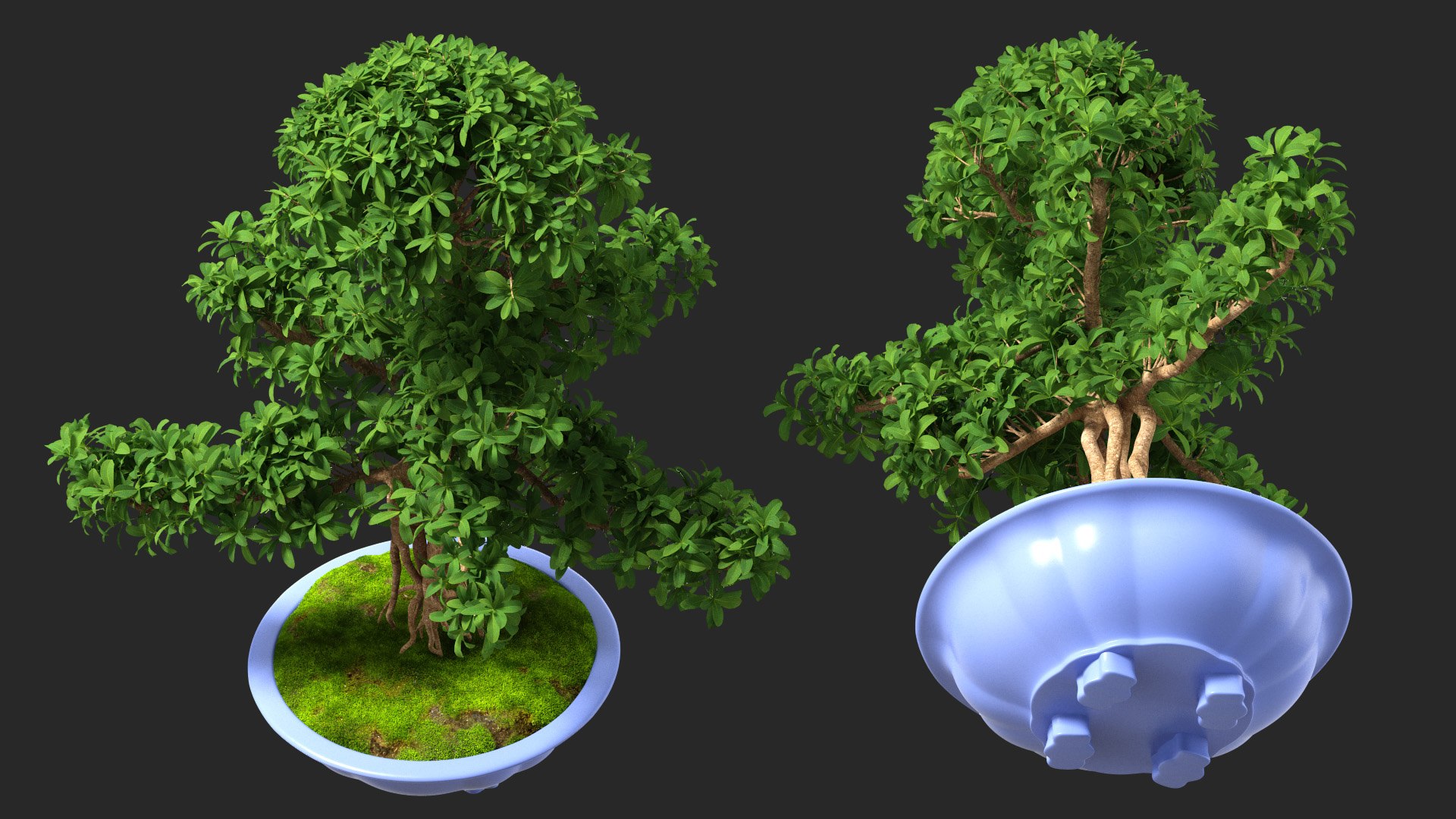 Houseplants Collection 4 3D model https://p.turbosquid.com/ts-thumb/Pj/FSH6b2/Dy/houseplantscollection43dsmodel048/jpg/1639675294/1920x1080/fit_q87/b06af28edb332a84fd66e87c0b9ba36579a53352/houseplantscollection43dsmodel048.jpg