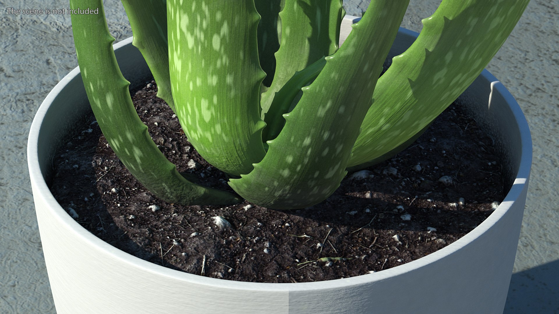 Houseplants Collection 4 3D model https://p.turbosquid.com/ts-thumb/Pj/FSH6b2/HP/houseplantscollection43dsmodel006/jpg/1639675164/1920x1080/fit_q87/9d0ddeb8645e0bbd2559968822e04638b74822bc/houseplantscollection43dsmodel006.jpg