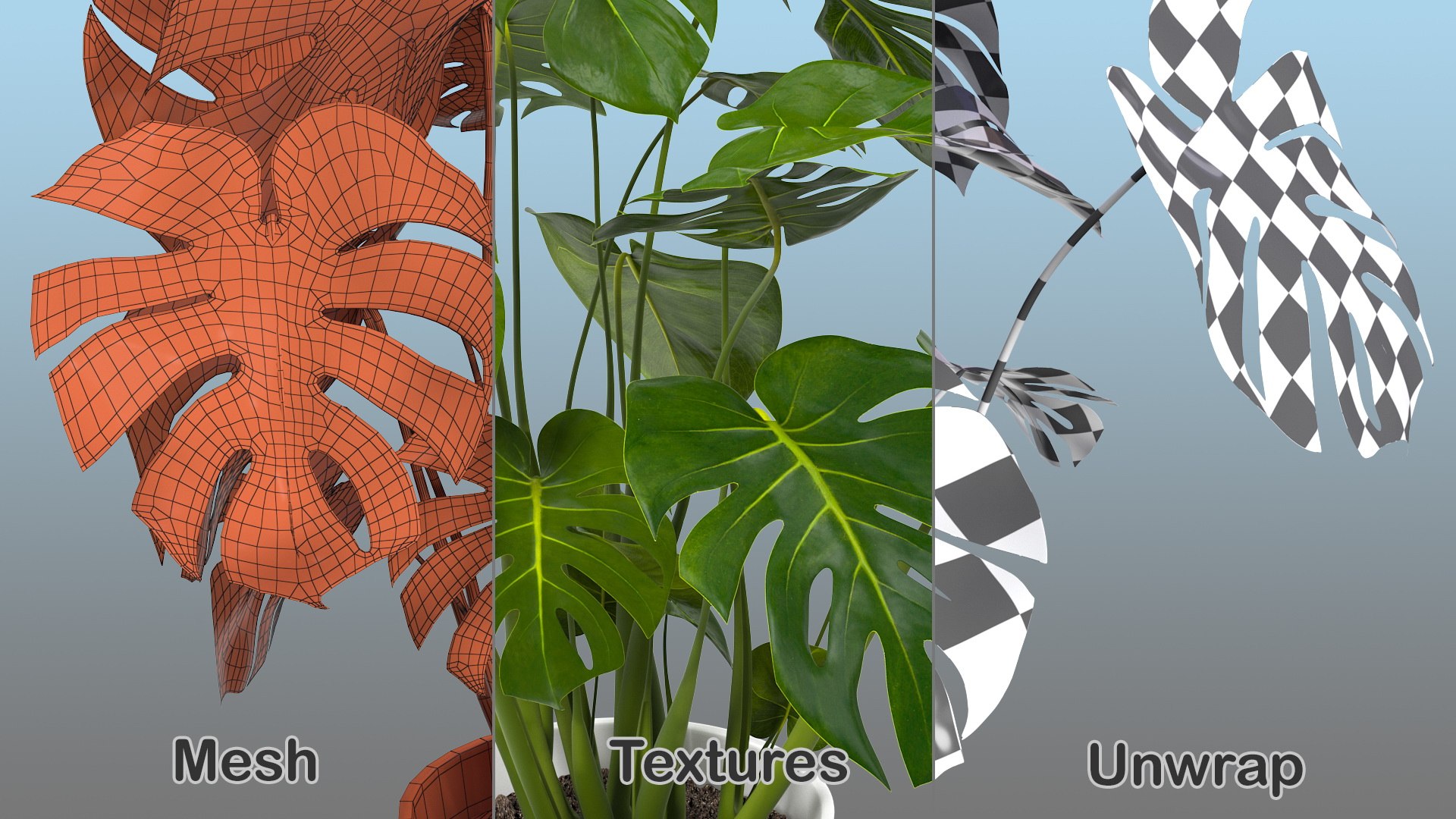 Houseplants Collection 4 3D model https://p.turbosquid.com/ts-thumb/Pj/FSH6b2/IX/houseplantscollection43dsmodel079/jpg/1639675389/1920x1080/fit_q87/0549a37cd072b1006a21cd7b5db0ba4efda94531/houseplantscollection43dsmodel079.jpg
