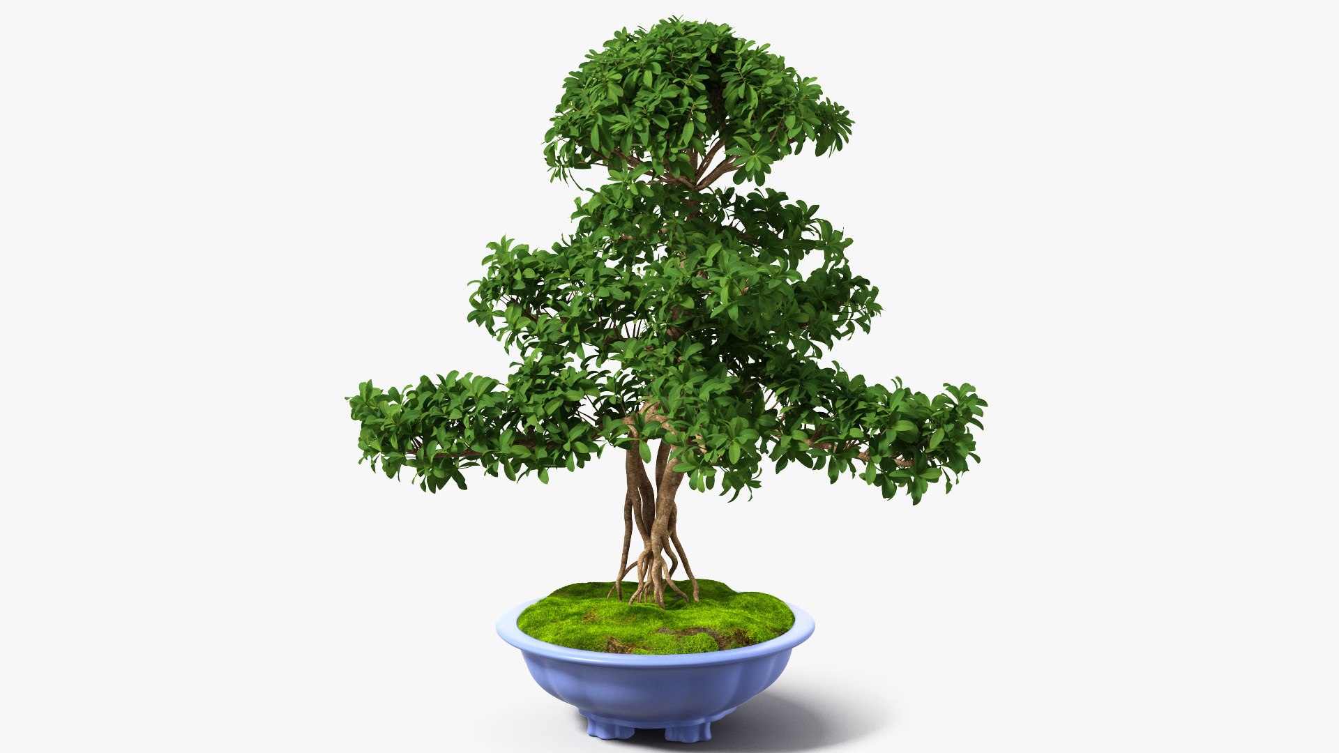 Houseplants Collection 4 3D model https://p.turbosquid.com/ts-thumb/Pj/FSH6b2/Mx/houseplantscollection43dsmodel045/jpg/1639675285/1920x1080/fit_q87/1b12ccd4cc8ec54e609b1848457fc198b5e5c620/houseplantscollection43dsmodel045.jpg
