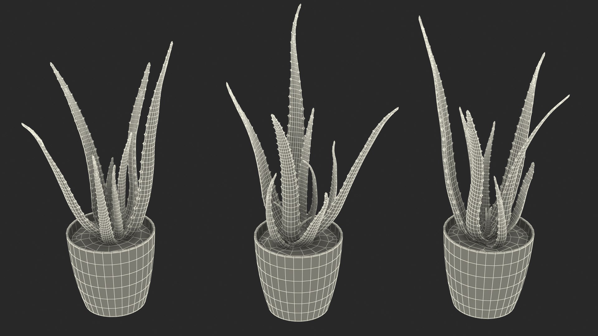 Houseplants Collection 4 3D model https://p.turbosquid.com/ts-thumb/Pj/FSH6b2/Ow/houseplantscollection43dsmodel094/jpg/1639675432/1920x1080/fit_q87/b20b0d0370dc40fe1bee5cfd784d2ccea1162a19/houseplantscollection43dsmodel094.jpg