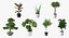 Houseplants Collection 4