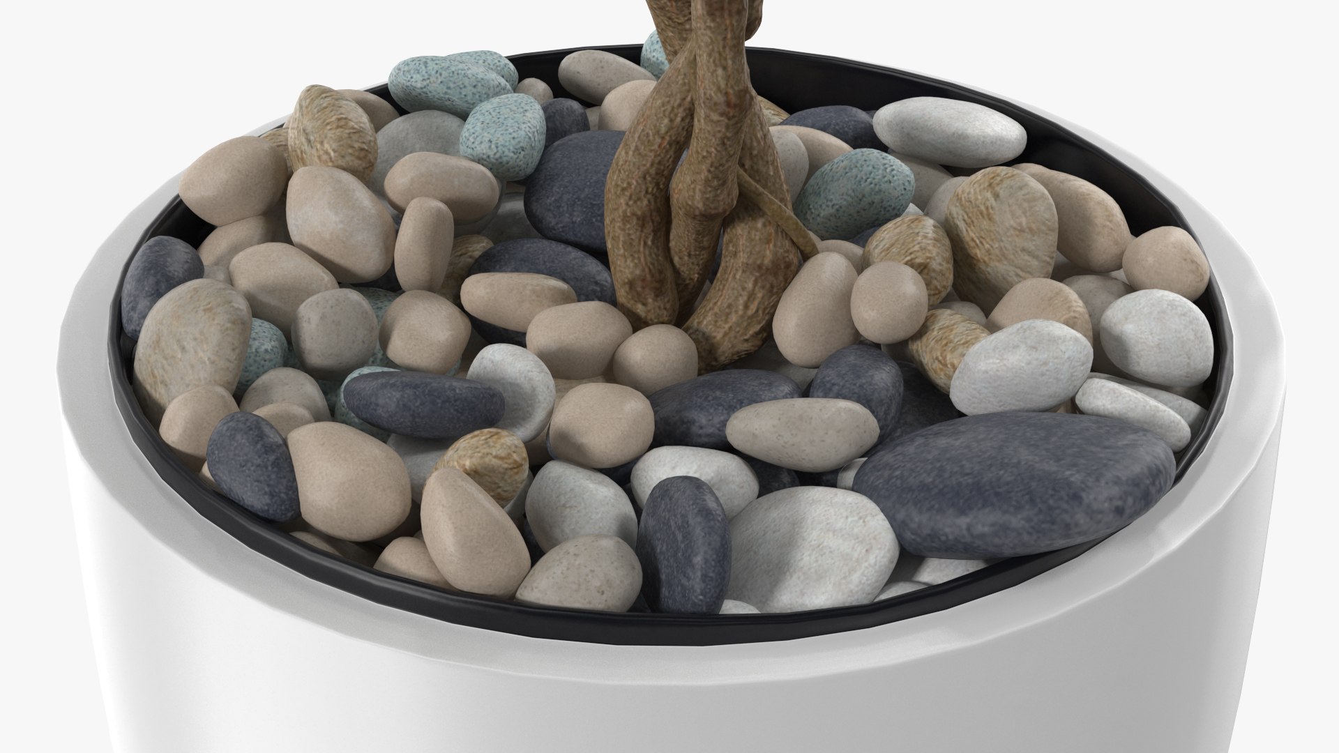 Houseplants Collection 4 3D model https://p.turbosquid.com/ts-thumb/Pj/FSH6b2/Tp/houseplantscollection43dsmodel044/jpg/1639675282/1920x1080/fit_q87/dfb0c970500824fa796599c089c9c248eab23f01/houseplantscollection43dsmodel044.jpg