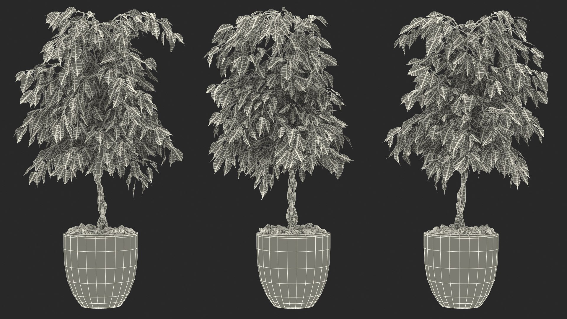 Houseplants Collection 4 3D model https://p.turbosquid.com/ts-thumb/Pj/FSH6b2/UV/houseplantscollection43dsmodel096/jpg/1639675438/1920x1080/fit_q87/b4509af038b946cff11ebb640a910776d859a53f/houseplantscollection43dsmodel096.jpg