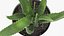 Houseplants Collection 4