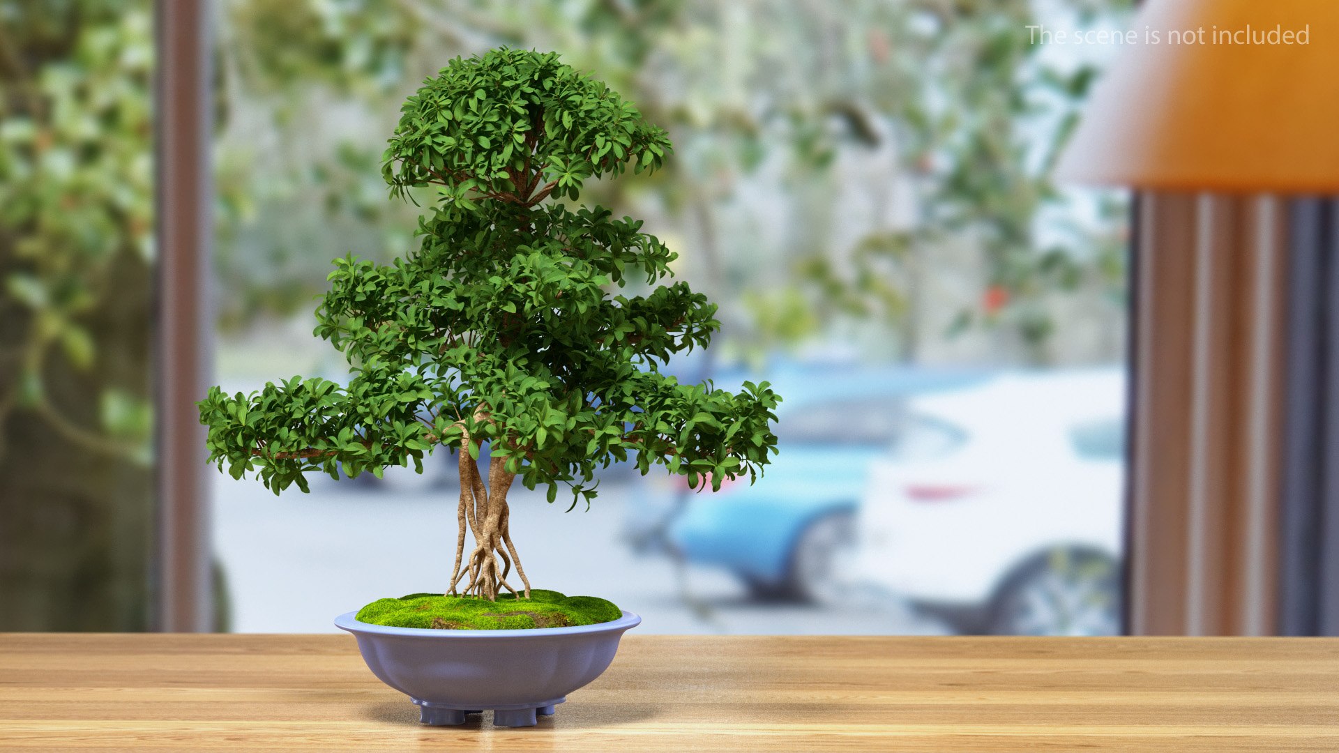 Houseplants Collection 4 3D model https://p.turbosquid.com/ts-thumb/Pj/FSH6b2/b7/houseplantscollection43dsmodel046/jpg/1639675288/1920x1080/fit_q87/efb1a4bc404959aa4862511e0652bee4a6d8bb95/houseplantscollection43dsmodel046.jpg
