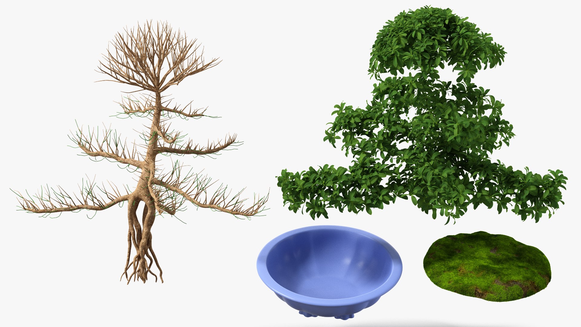 Houseplants Collection 4 3D model https://p.turbosquid.com/ts-thumb/Pj/FSH6b2/c5/houseplantscollection43dsmodel058/jpg/1639675326/1920x1080/fit_q87/0db49fb0331201ce77ef6822450ec5636169f1c7/houseplantscollection43dsmodel058.jpg