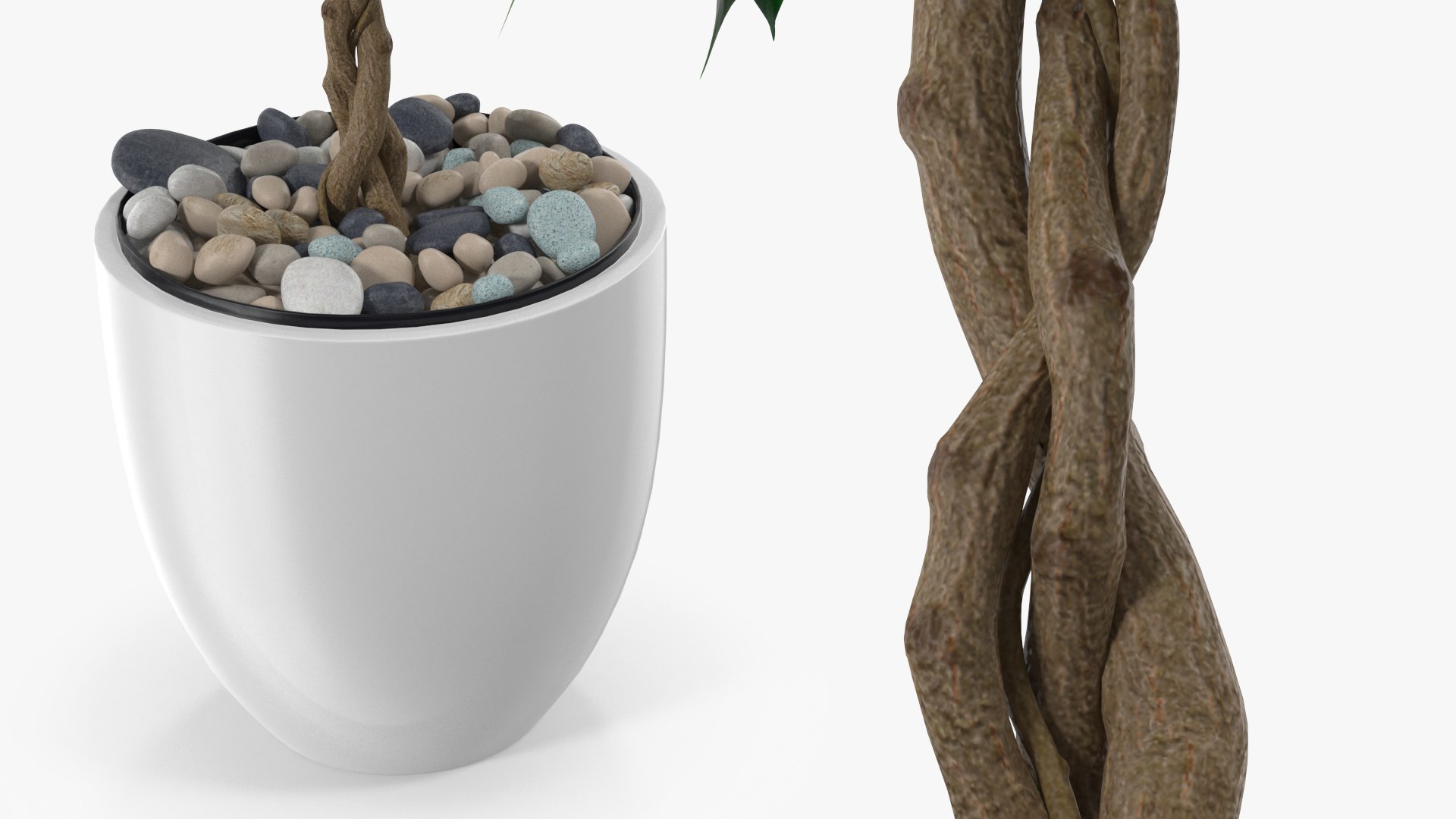 Houseplants Collection 4 3D model https://p.turbosquid.com/ts-thumb/Pj/FSH6b2/lm/houseplantscollection43dsmodel043/jpg/1639675280/1920x1080/fit_q87/8334ebb01ca892caad970298d1aa0f9dbe496ab1/houseplantscollection43dsmodel043.jpg