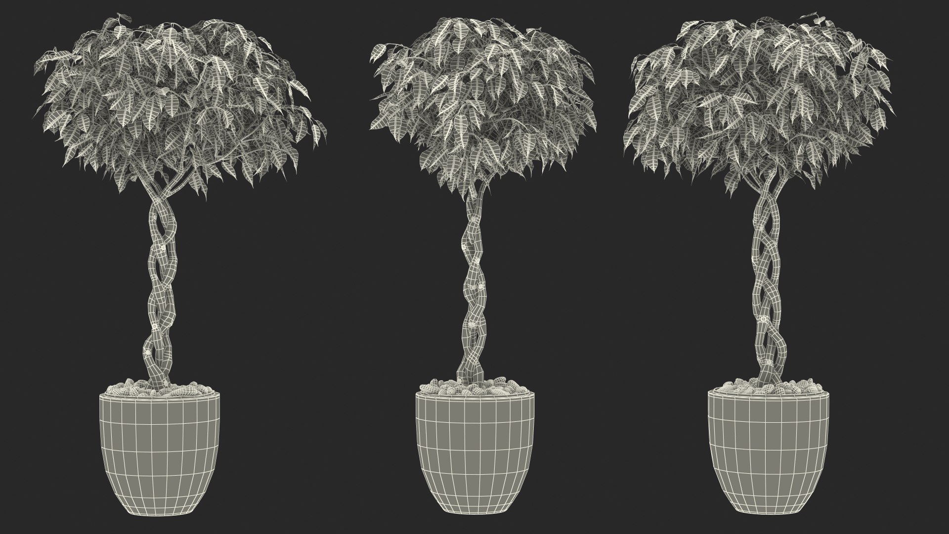 Houseplants Collection 4 3D model https://p.turbosquid.com/ts-thumb/Pj/FSH6b2/nX/houseplantscollection43dsmodel095/jpg/1639675435/1920x1080/fit_q87/4b157529609048b8d94975d17f5342e084a9c4df/houseplantscollection43dsmodel095.jpg