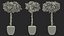 Houseplants Collection 4