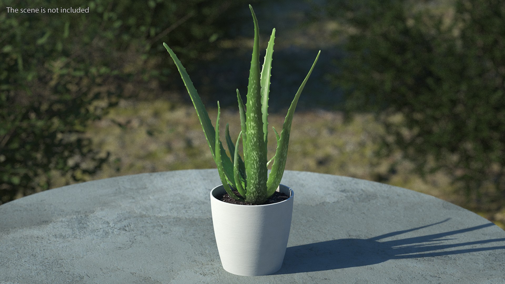 Houseplants Collection 4 3D model https://p.turbosquid.com/ts-thumb/Pj/FSH6b2/oY/houseplantscollection43dsmodel003/jpg/1639675155/1920x1080/fit_q87/75a6ca9fbdc3fd88c9c160baa23b30bff9389f2a/houseplantscollection43dsmodel003.jpg