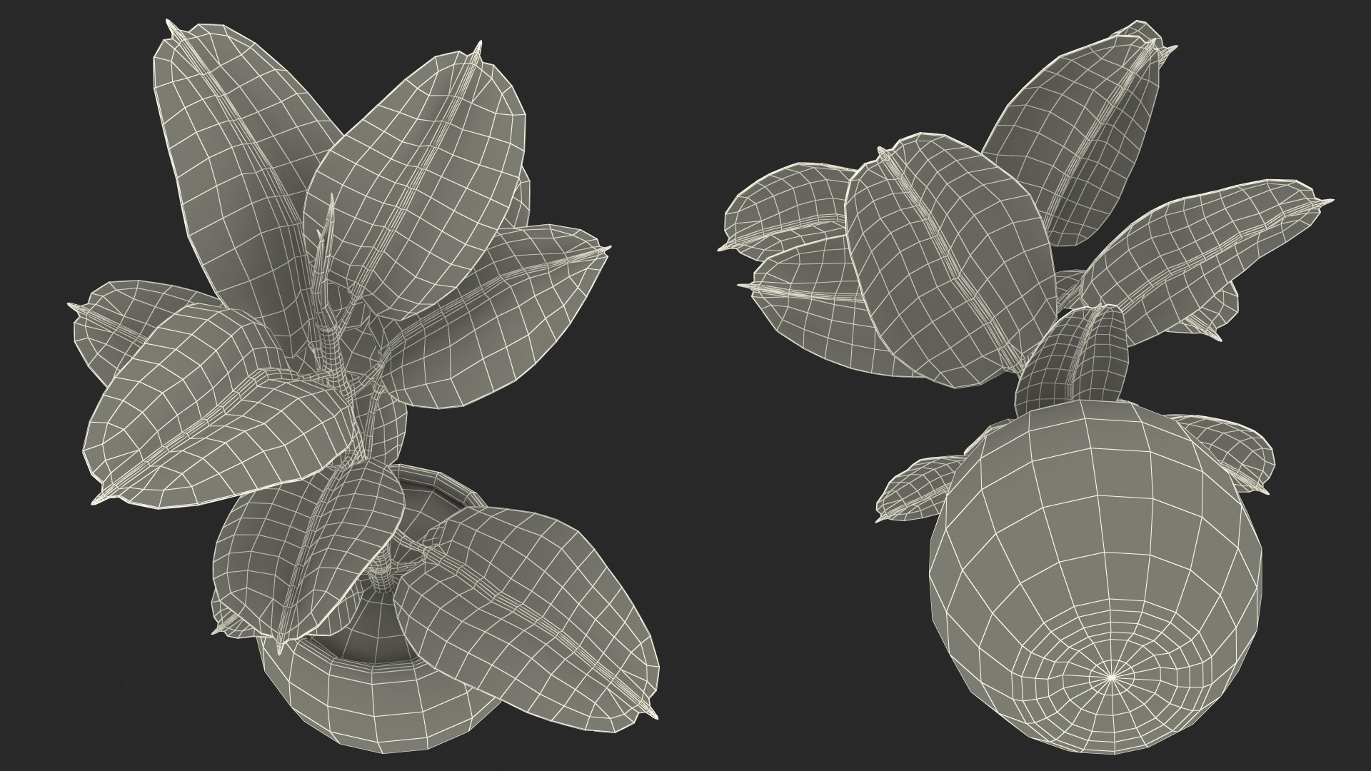 Houseplants Collection 4 3D model https://p.turbosquid.com/ts-thumb/Pj/FSH6b2/q0/houseplantscollection43dsmodel098/jpg/1639675445/1920x1080/fit_q87/ce85c326d2fb86cf14a93658996ed72b47cac6d4/houseplantscollection43dsmodel098.jpg