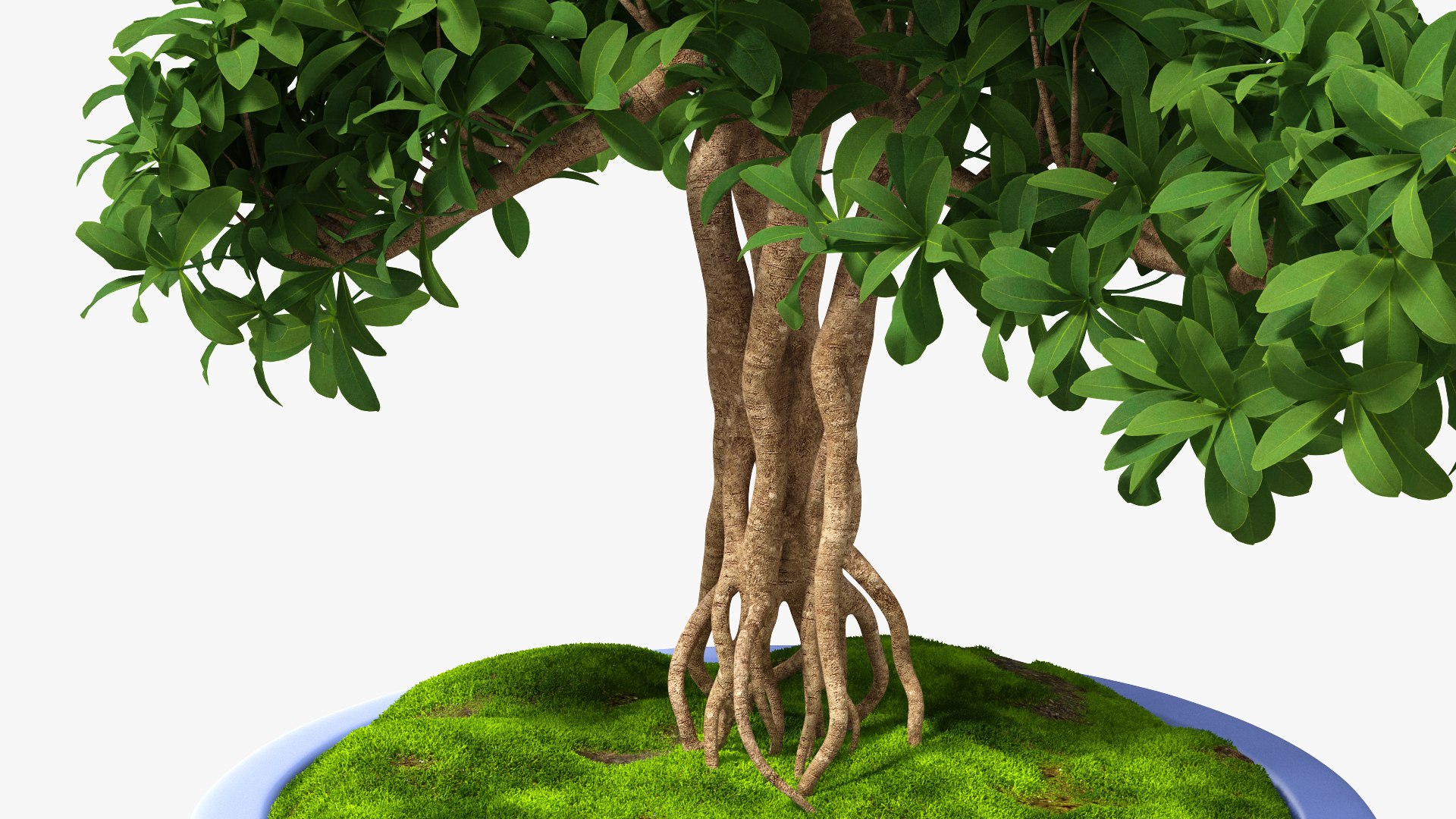 Houseplants Collection 4 3D model https://p.turbosquid.com/ts-thumb/Pj/FSH6b2/tI/houseplantscollection43dsmodel054/jpg/1639675313/1920x1080/fit_q87/e38cfbd02502edd63eec87ab7715bbef97f8951f/houseplantscollection43dsmodel054.jpg