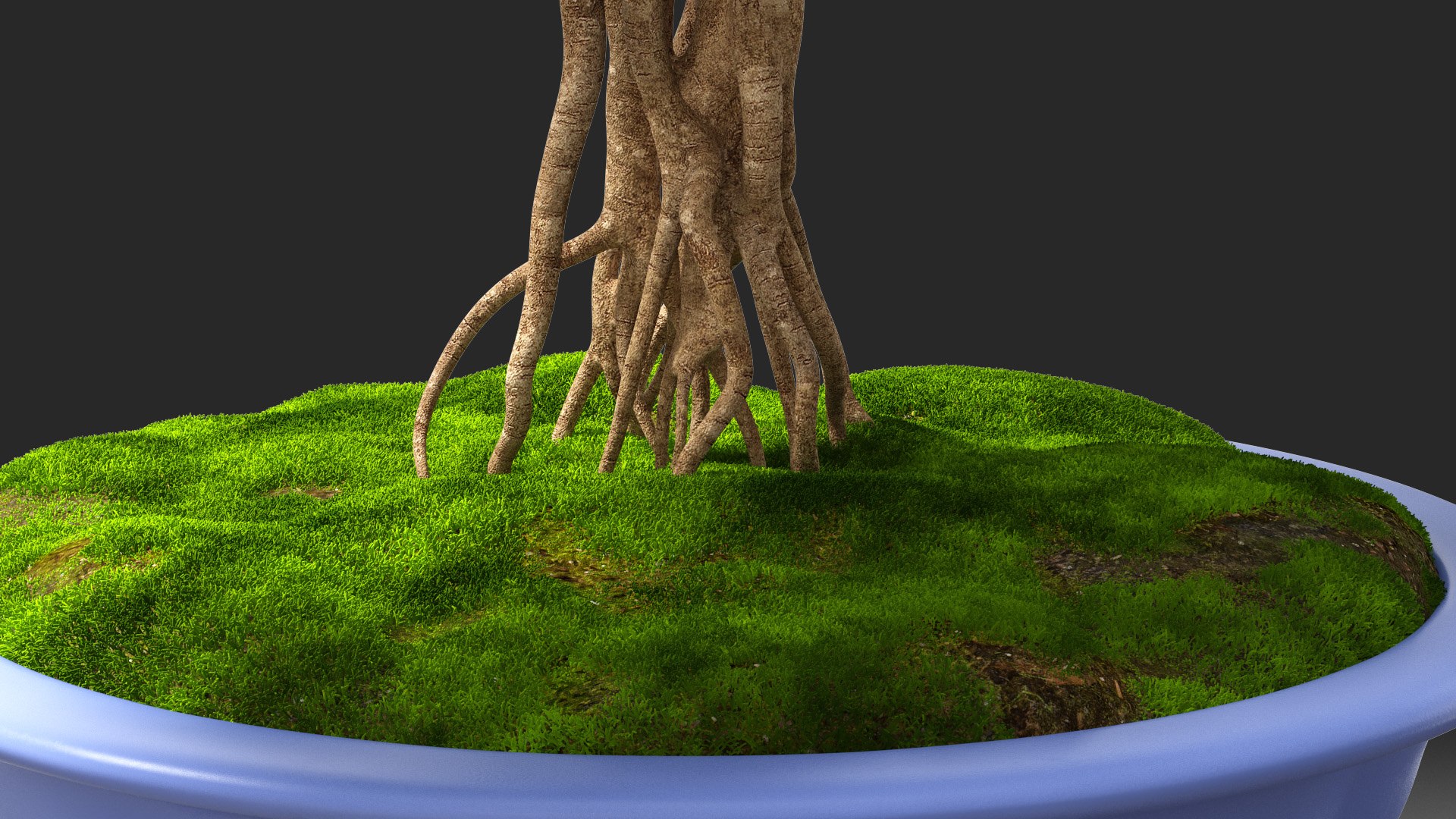 Houseplants Collection 4 3D model https://p.turbosquid.com/ts-thumb/Pj/FSH6b2/tW/houseplantscollection43dsmodel051/jpg/1639675304/1920x1080/fit_q87/dccd3df18bb558a1b02438a93fd3b95c6e623688/houseplantscollection43dsmodel051.jpg
