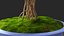 Houseplants Collection 4