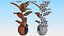 Houseplants Collection 4