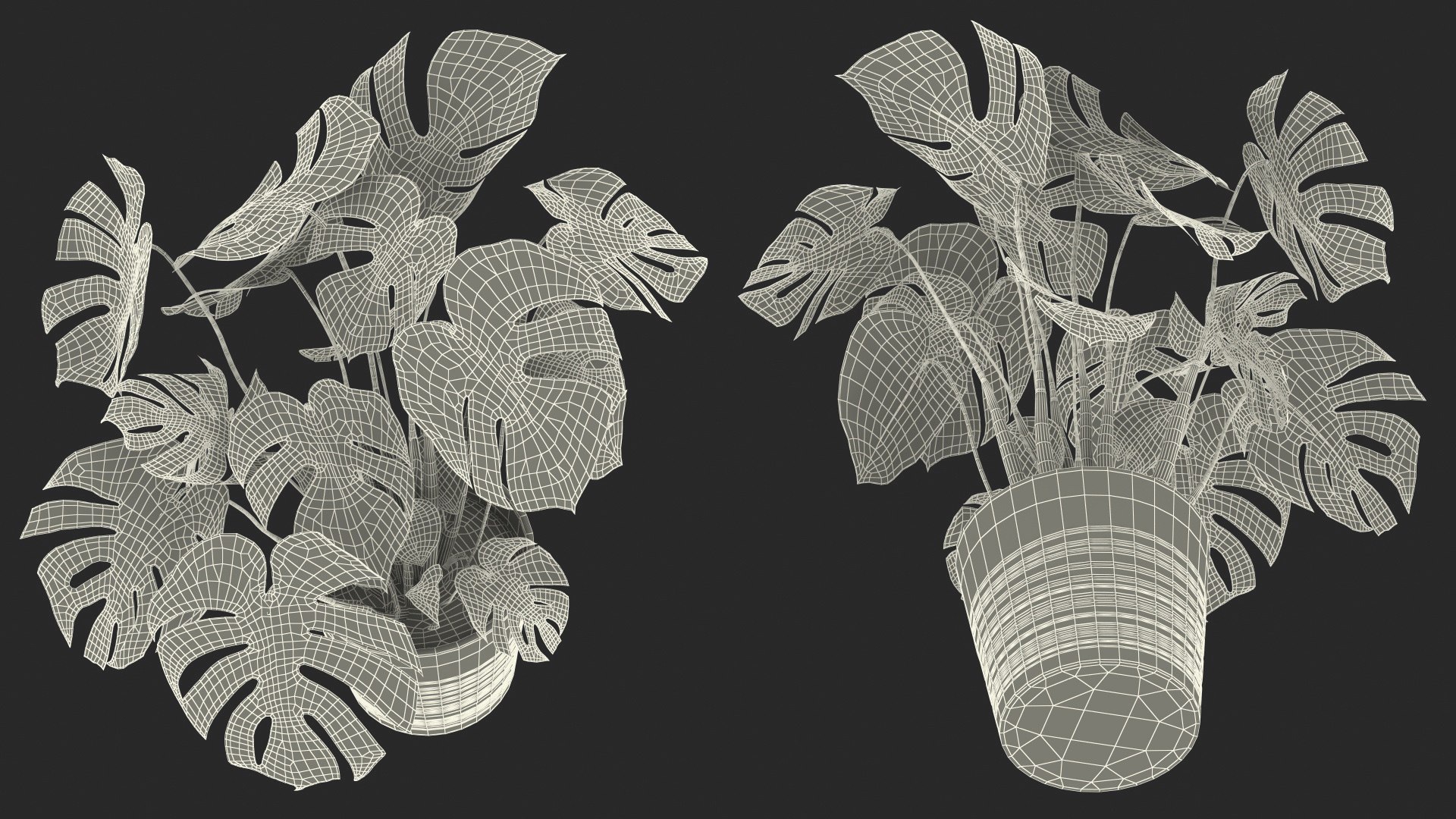 Houseplants Collection 4 3D model https://p.turbosquid.com/ts-thumb/Pj/FSH6b2/uf/houseplantscollection43dsmodel099/jpg/1639675449/1920x1080/fit_q87/cd9646f97031fa9b4b48d28657cb58f2f8f534f1/houseplantscollection43dsmodel099.jpg
