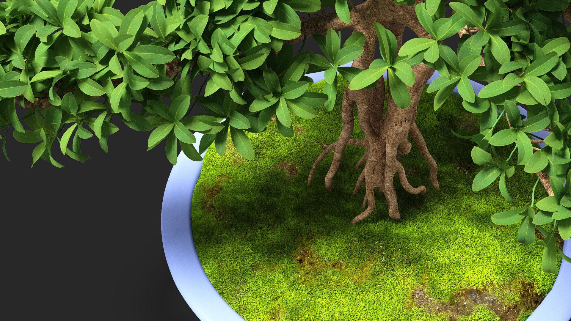 Houseplants Collection 4 3D model https://p.turbosquid.com/ts-thumb/Pj/FSH6b2/wH/houseplantscollection43dsmodel049/jpg/1639675298/1920x1080/fit_q87/5a4e33def7fc7639997956d165b21c33aac7bfc6/houseplantscollection43dsmodel049.jpg