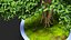 Houseplants Collection 4