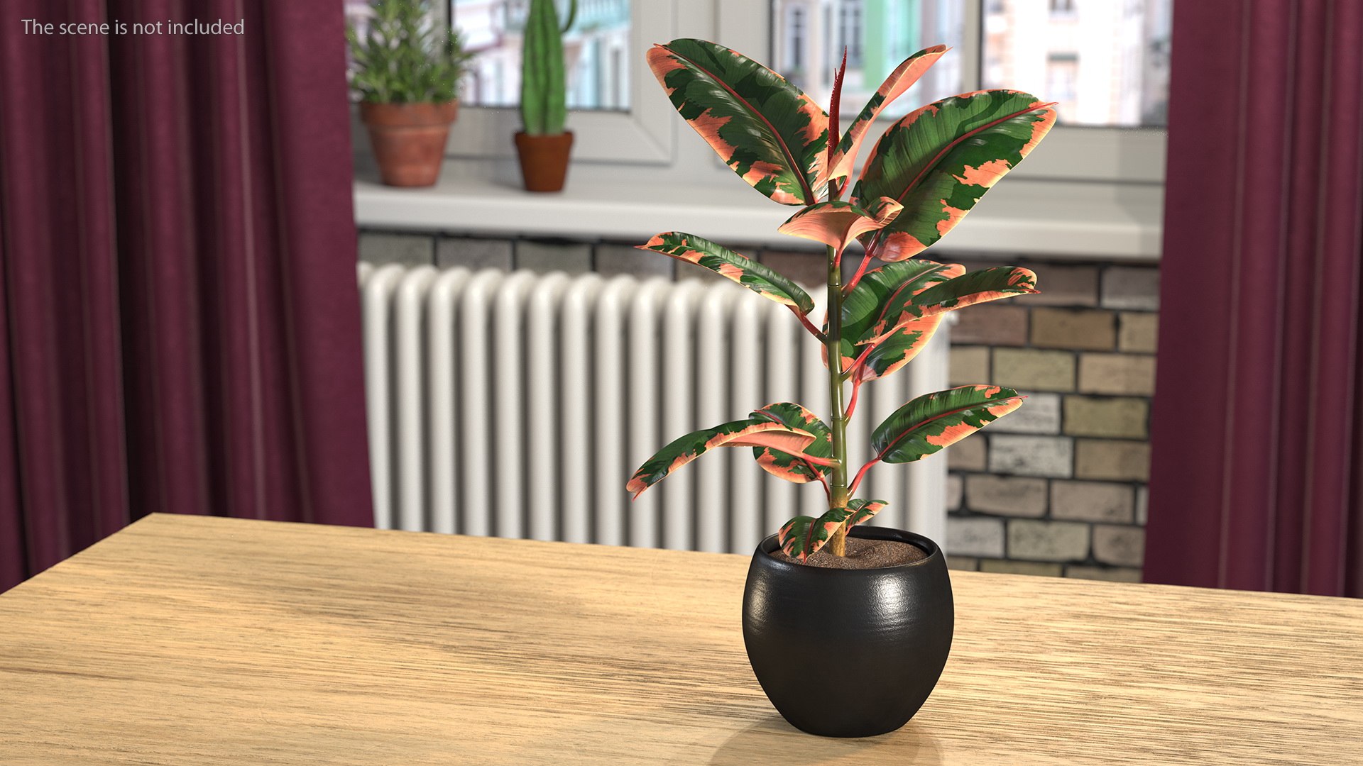 Houseplants Collection 4 3D model https://p.turbosquid.com/ts-thumb/Pj/FSH6b2/wL/houseplantscollection43dsmodel061/jpg/1639675333/1920x1080/fit_q87/57f377b3f6eec31596b33abce9aa0a6415eee4cb/houseplantscollection43dsmodel061.jpg