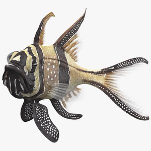 3D banggai cardinalfish fish