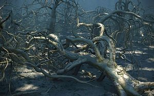 3D model Old Forest Pack 30