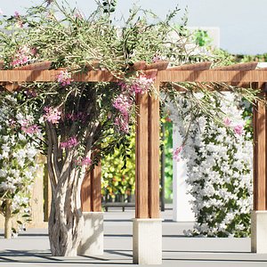 Climbing Ivy Assets 3D