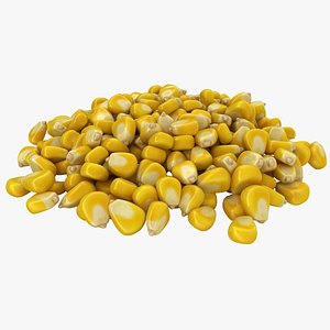 Corn Seeds