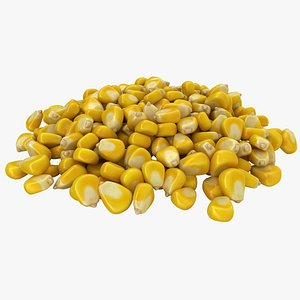 Corn Seeds